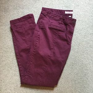 LOFT Burgundy Pants